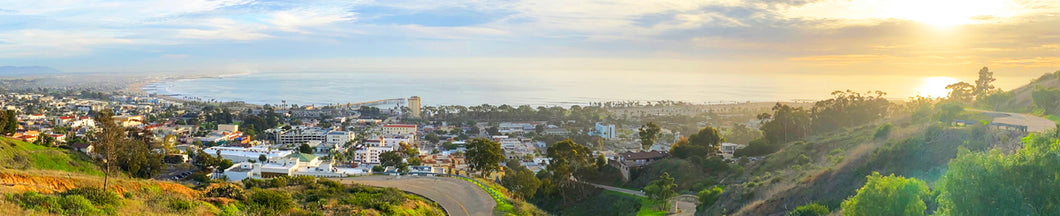 Ventura View panoramic printed on natural Live edge wood.